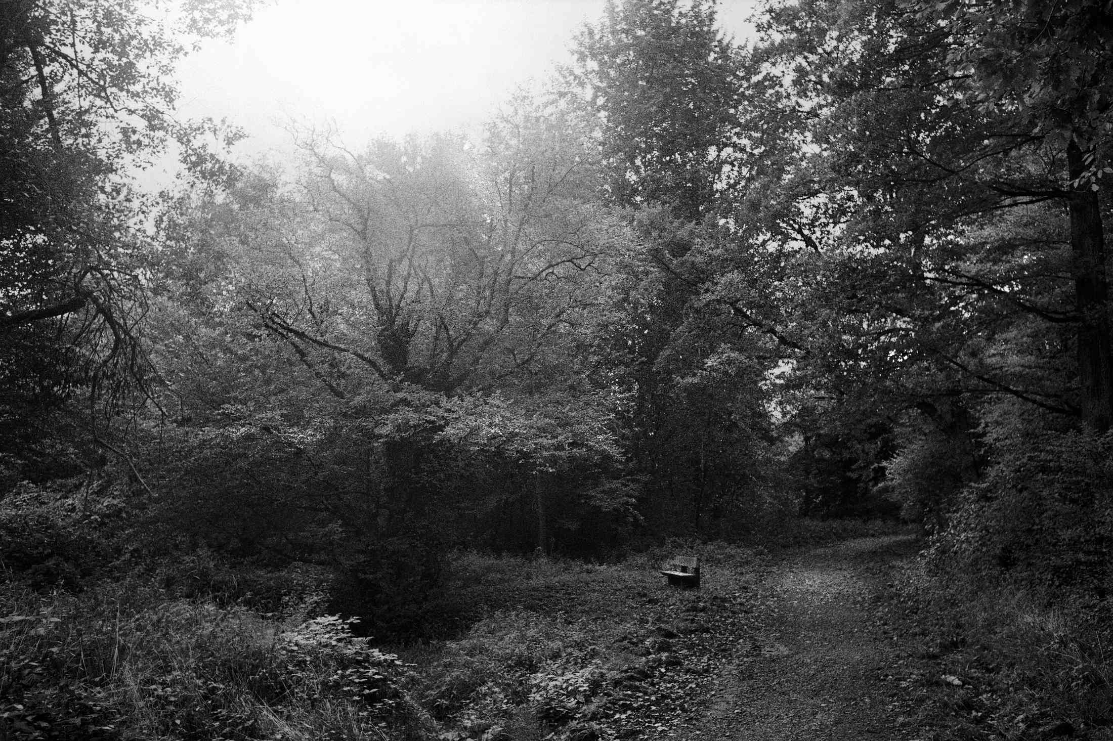 2017 10 08 leica  (4)